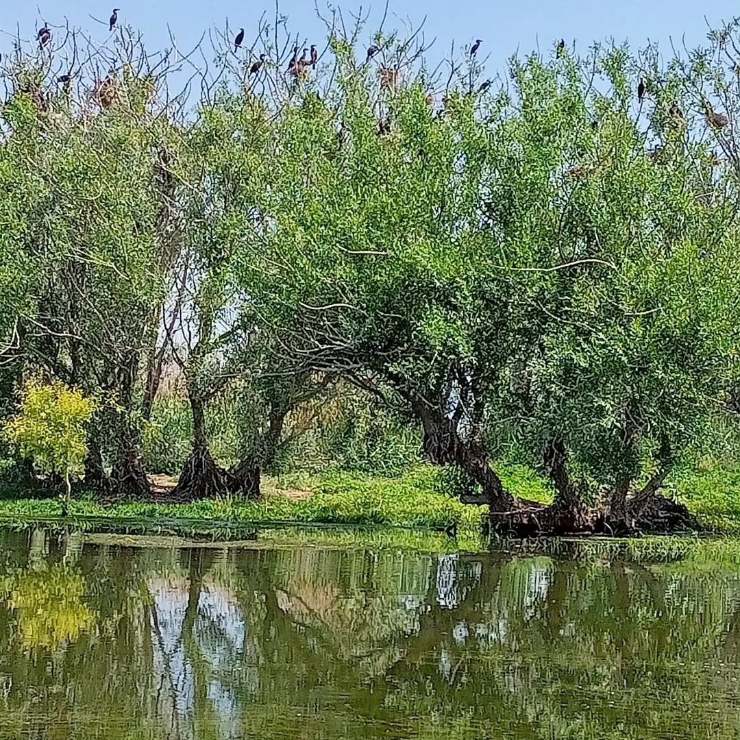 Işıklı Gölü tekne yolculuğu nilüfer gezisi
