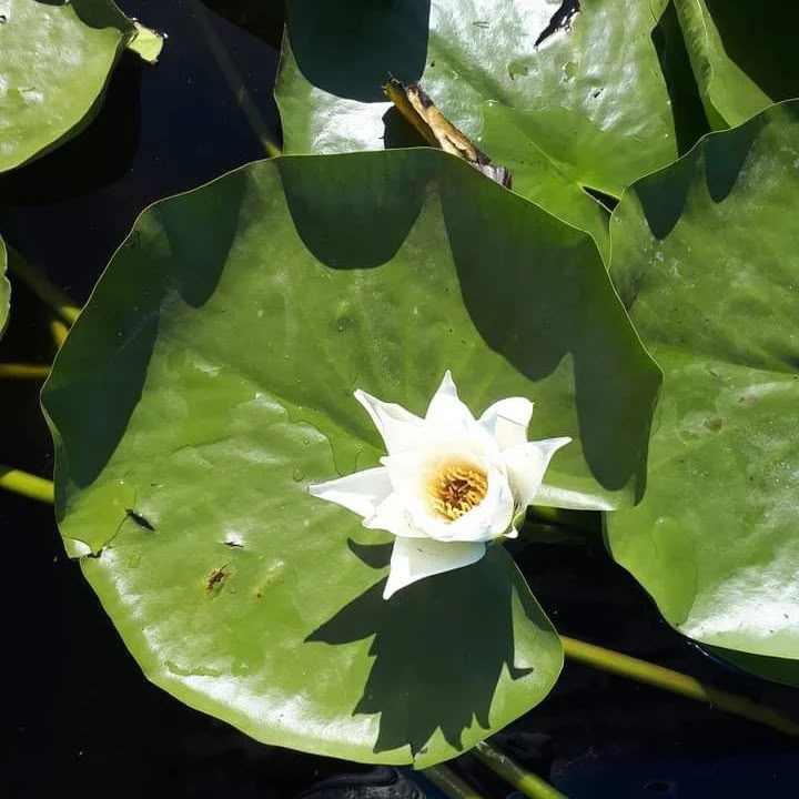Işıklı Gölü ve dağ silüeti günbatımı manzarası